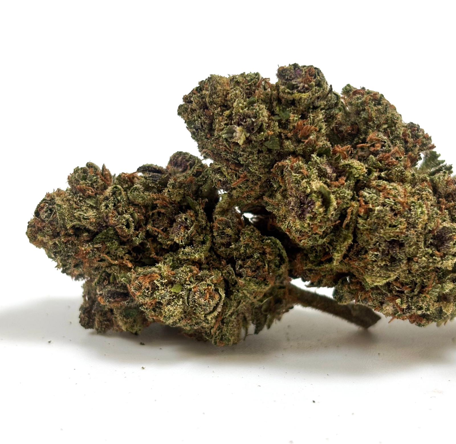 Blue Widow — cured CBD flower bud