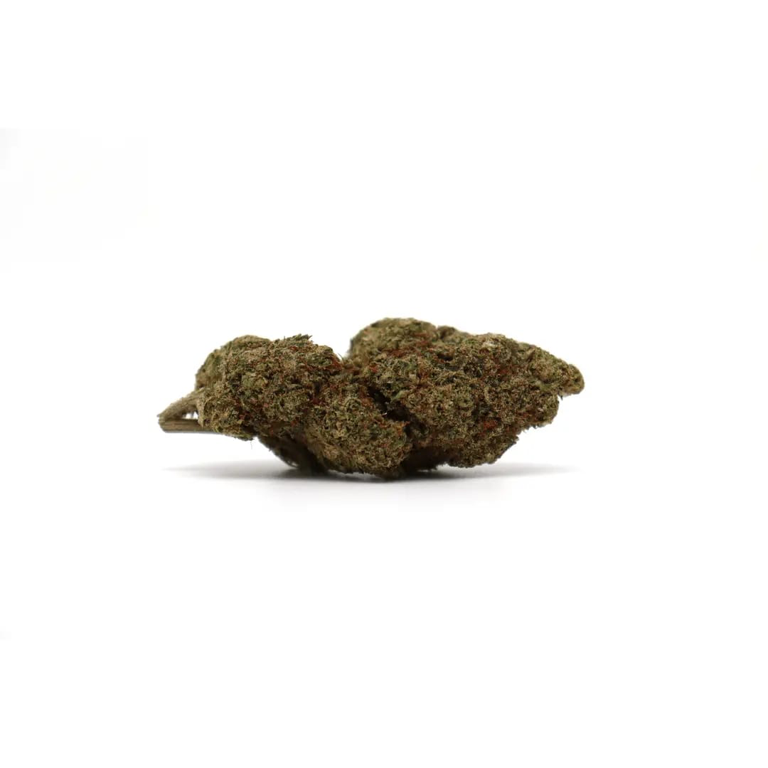 Snow OG — cured CBD flower bud